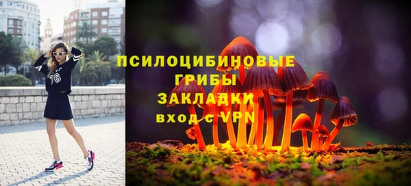 экстази Арсеньев