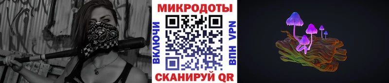 где купить Северо-Курильск Галлюциногенные грибы GOLDEN TEACHER